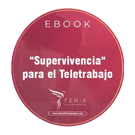Guía de supervivencia para el teletrabajo